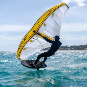 AILE DE WING OZONE FUSION V2 Ultra-X white-grey