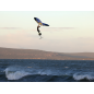 AILE DE WINGSURF Flysurfer TAO HR