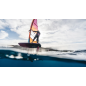 VOILE DE WINDSURF NEILPRYDE FREE FLIGHT